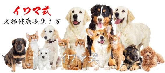 初めての方へ（犬猫のご飯の入門編）｜benly.jp『ペットフードの 