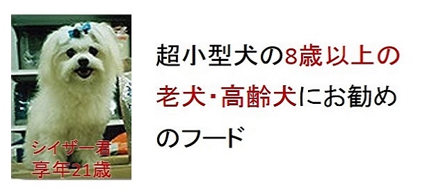 超小型犬の8歳以上の老犬・高齢犬におすすめのフード
