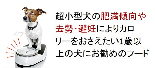 超小型権の肥満傾向や去勢・避妊によりカロリーを抑えたい1歳以上の犬におすすめのフード