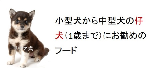 小型犬から中型犬の仔犬（1歳まで）におすすめのフード