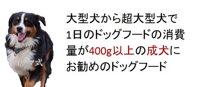 大型犬から超大型犬で1日のドッグフードの消費量が400g以上の成犬におすすめのドッグフード