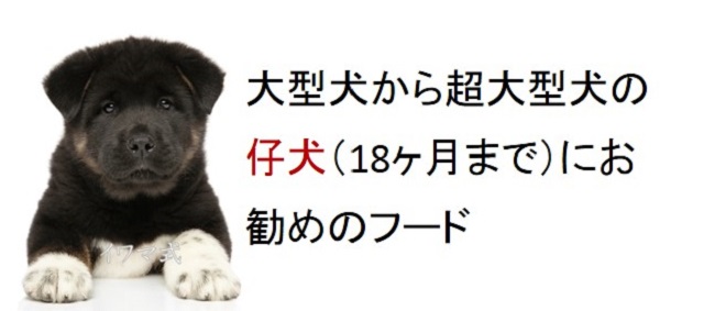 大型犬から超大型犬の仔犬（18ヶ月まで）におすすめのフード