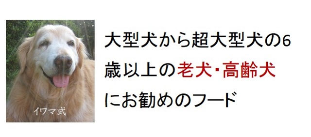 大型犬から超大型犬の6歳以上の老犬・高齢犬におすすめのフード