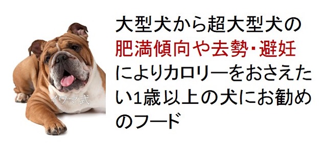 大型犬から超大型犬の肥満傾向や去勢・避妊によりカロリーをおさえたい1歳以上の犬におすすめのフード