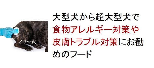 大型犬から超大型犬で食物アレルギー対策や皮膚トラブル対策におすすめのフード