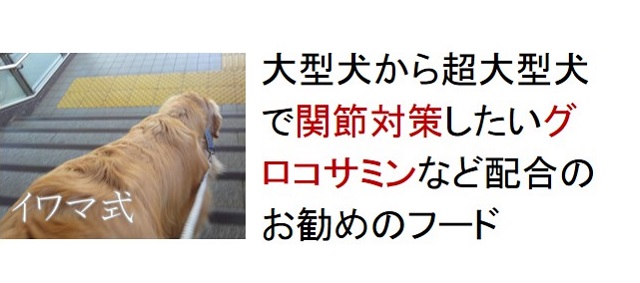 大型犬から超大型犬で関節対策したいグルコサミンなど配合のおすすめのフード