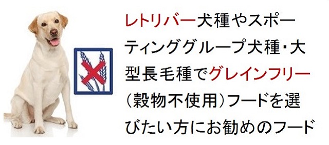 レトリバー犬種やスポーティンググループ犬種・大型長毛種でグレインフリー（穀物不使用）フードを選びたい方におすすめのフード