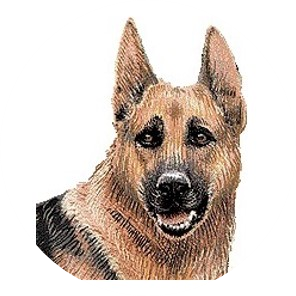 犬の平均寿命 最高寿命 人間年齢比較 イワマ式犬猫健康長生き法