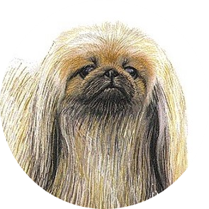 犬の平均寿命 最高寿命 人間年齢比較 イワマ式犬猫健康長生き法