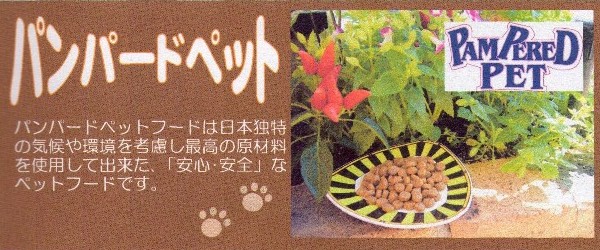 パンパードペット