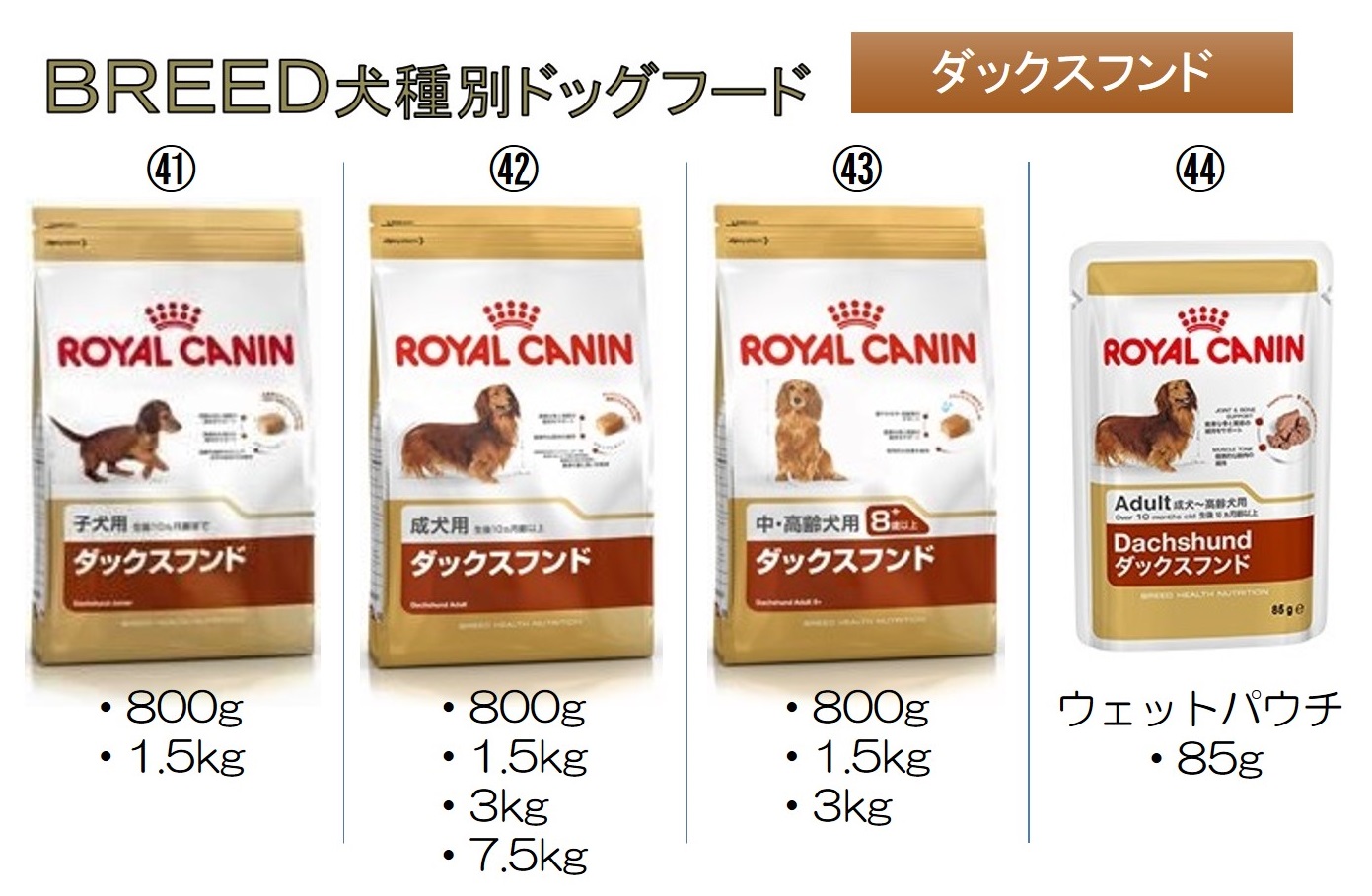 ロイヤルカナン犬用商品情報TOP｜【イワマ式犬猫健康長生き法】公式サイト