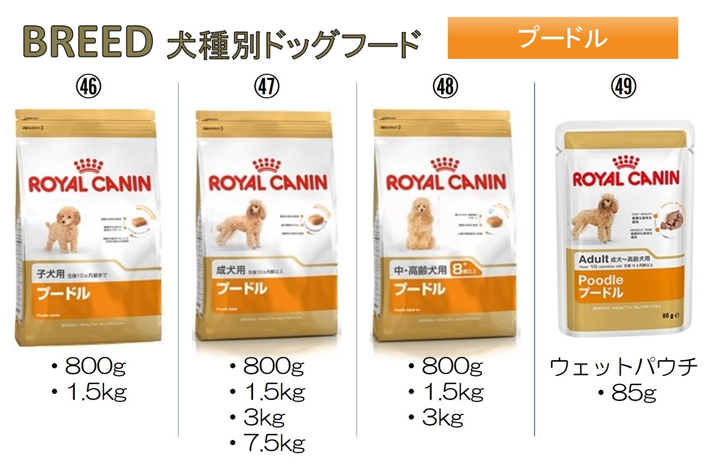 ロイヤルカナン犬用商品情報TOP|【イワマ式犬猫健康長生き法】公式サイト
