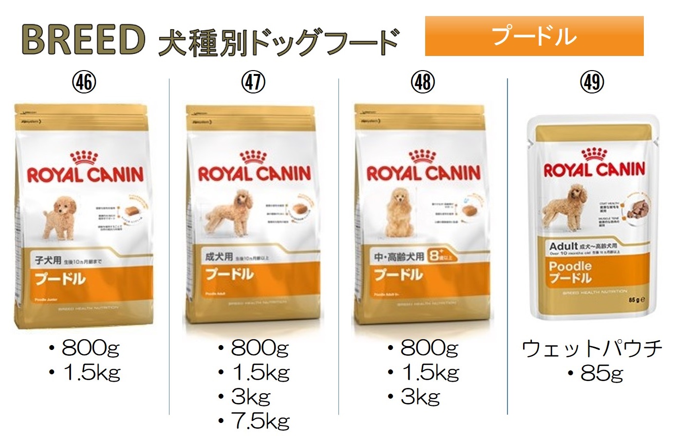 ロイヤルカナン犬用商品情報TOP｜【イワマ式犬猫健康長生き法】公式サイト