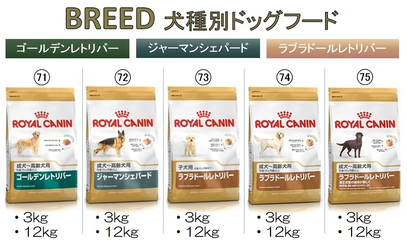 ロイヤルカナン犬用商品情報TOP|【イワマ式犬猫健康長生き法】公式サイト