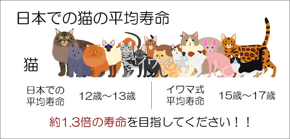すでに犬猫を飼っており犬 猫に健康で長生きしてほしいと考えている方へ Benly Jp ペットフードのベンリー の通販